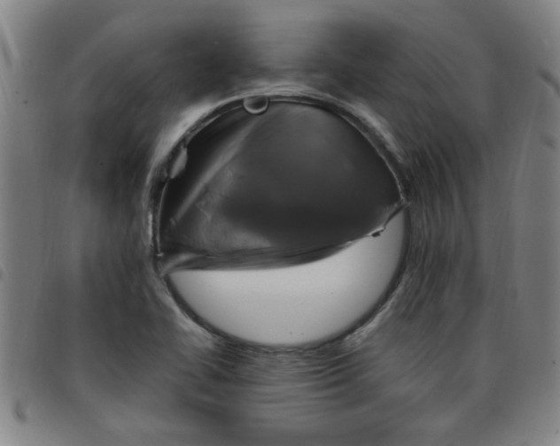 X0000097461414200803071621