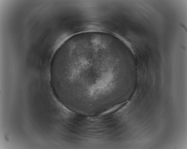 X0000097461415200803071621