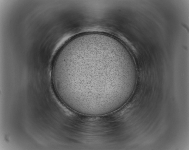 X0000097461416200803071621