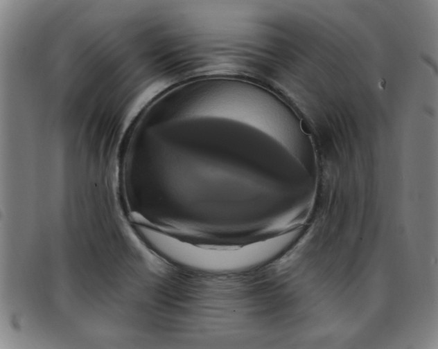 X0000097461418200803071621