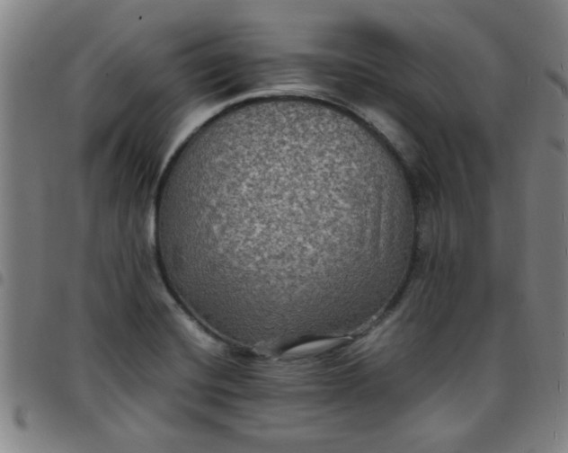 X0000097461420200803071621