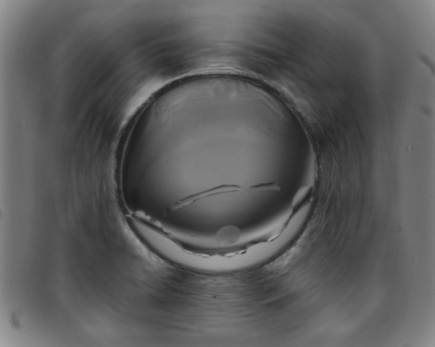 X0000097461422200803071621