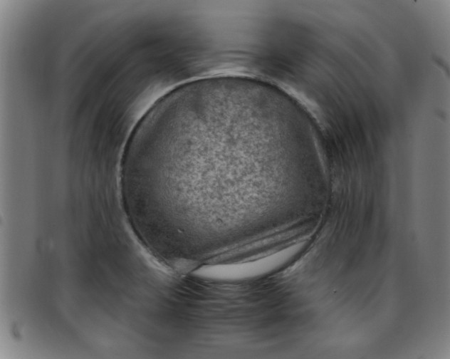 X0000097461423200803071621