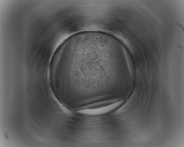 X0000097461424200803071621