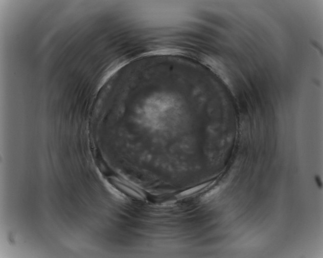 X0000097461425200803071621