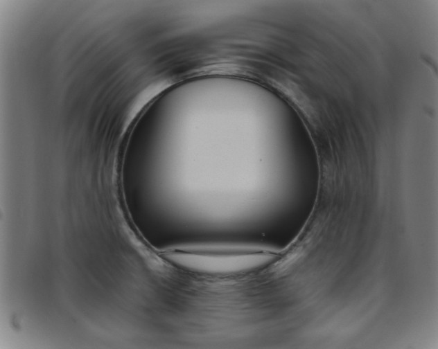 X0000097461426200803071621