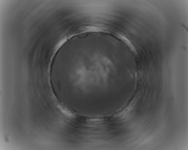 X0000097461427200803071621