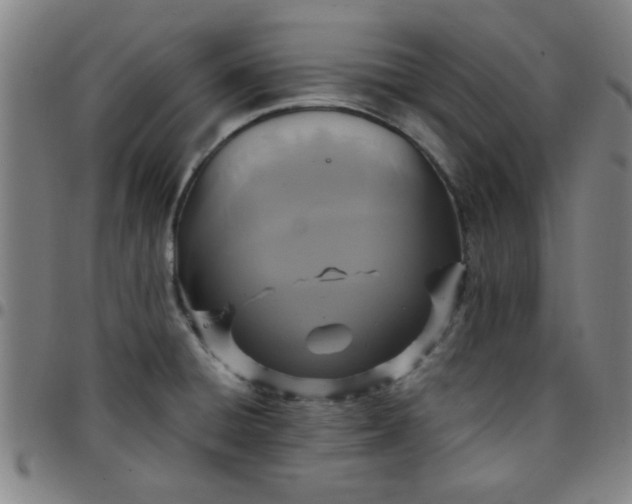 X0000097461428200803071621