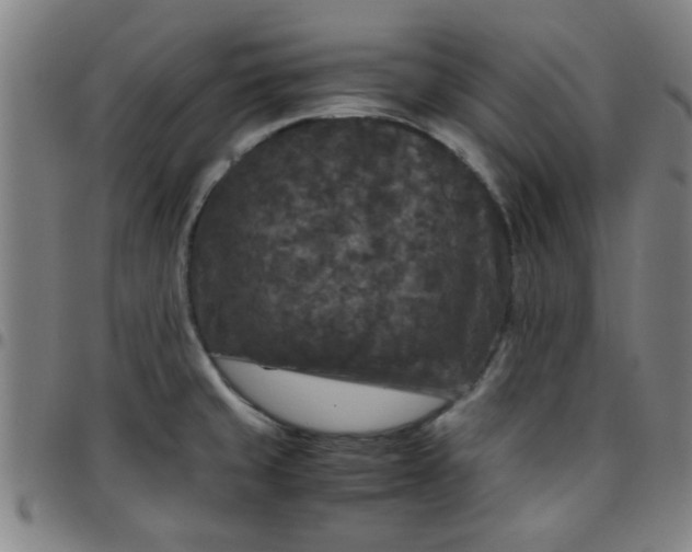 X0000097461429200803071621