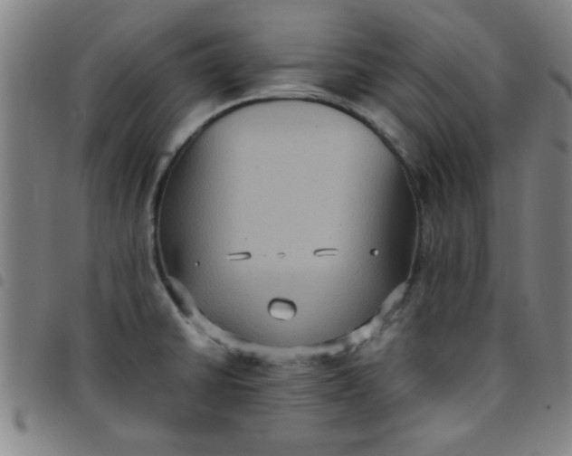 X0000097461430200803071621