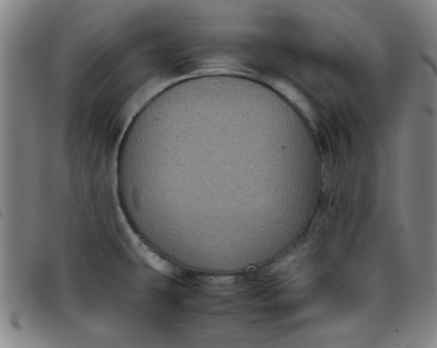 X0000097461431200803071621