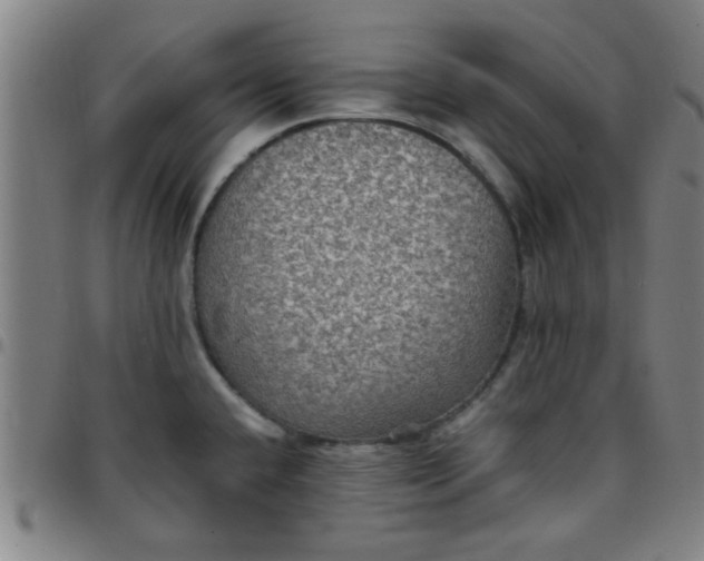 X0000097461432200803071621