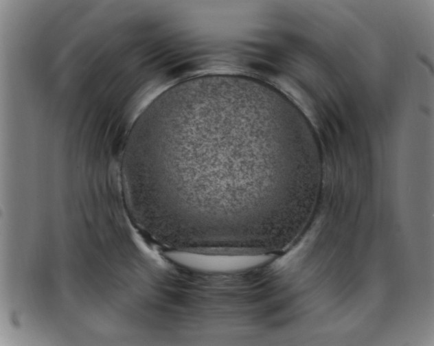 X0000097461433200803071621