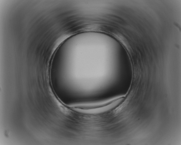 X0000097461434200803071621