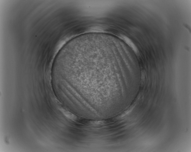 X0000097461435200803071621