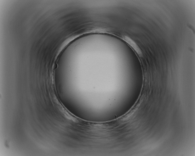 X0000097461436200803071621