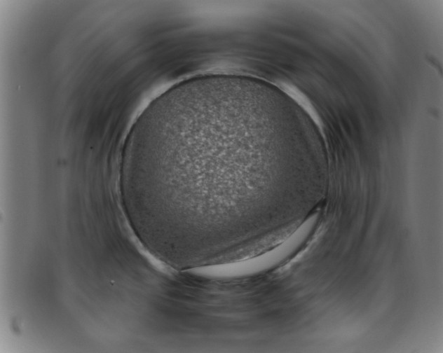 X0000097461437200803071621