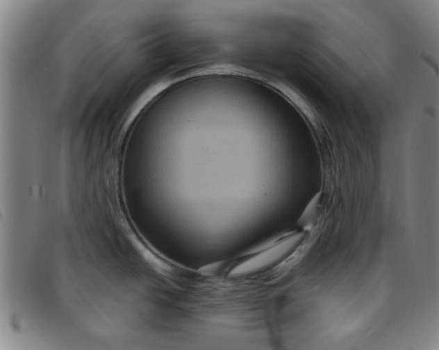 X0000097461438200803071621