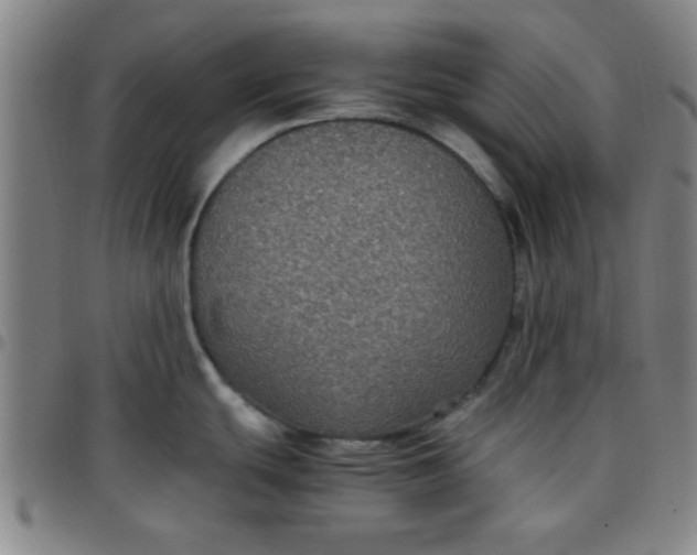 X0000097461439200803071621