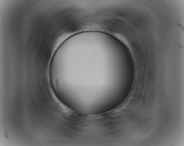 X0000097461440200803071621