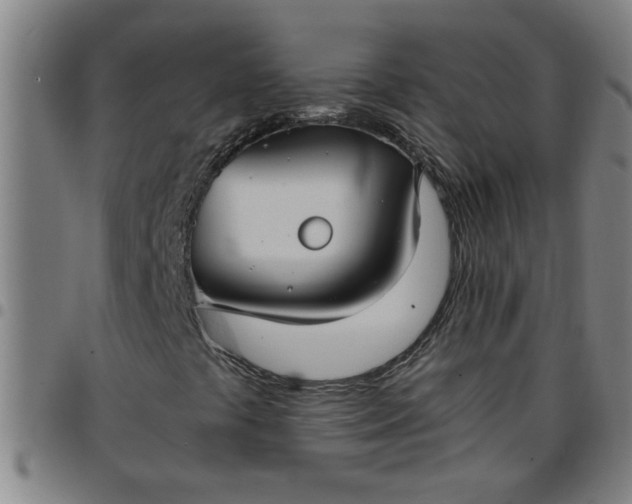 X0000097461441200803071620