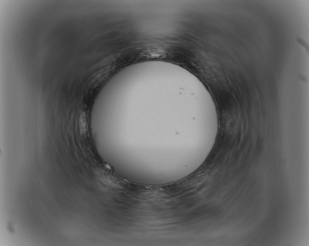 X0000097461442200803071620