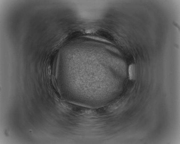 X0000097461443200803071620