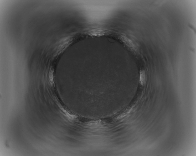 X0000097461444200803071620