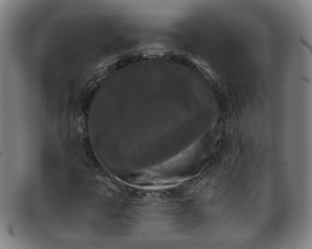 X0000097461445200803071620