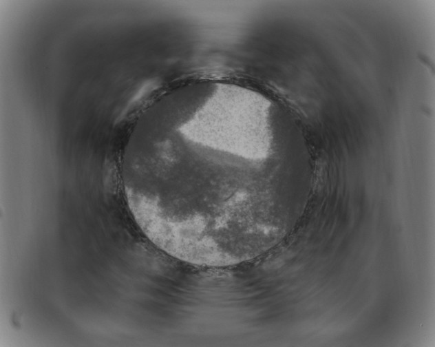 X0000097461446200803071620