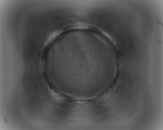 X0000097461448200803071620