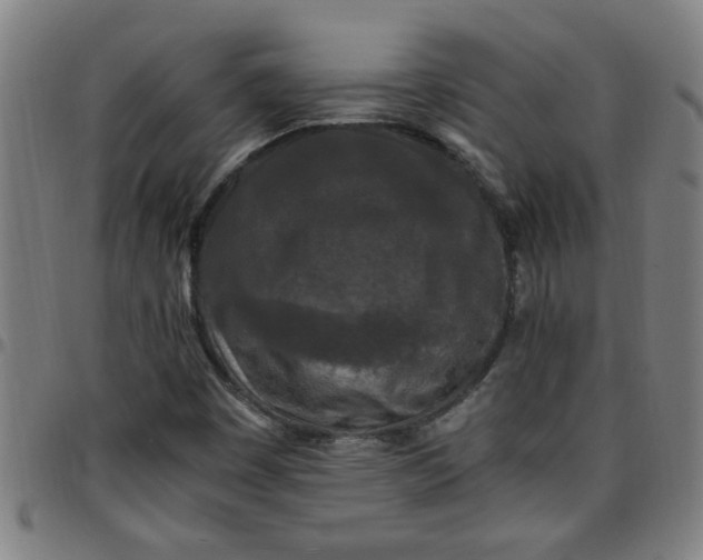 X0000097461449200803071620