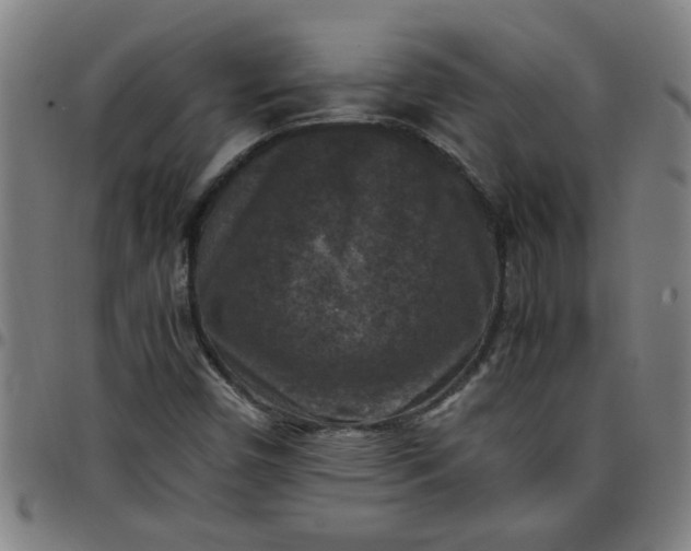 X0000097461450200803071620