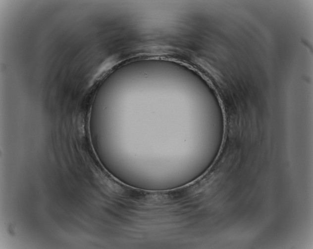 X0000097461451200803071620