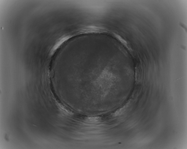 X0000097461453200803071620