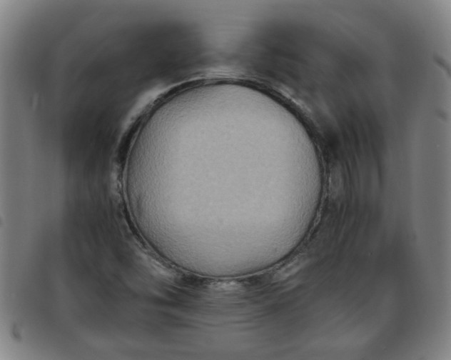 X0000097461454200803071620