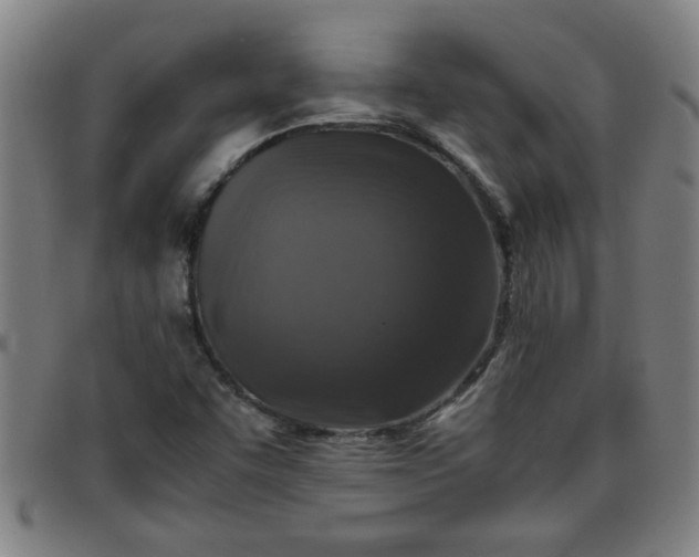 X0000097461455200803071620