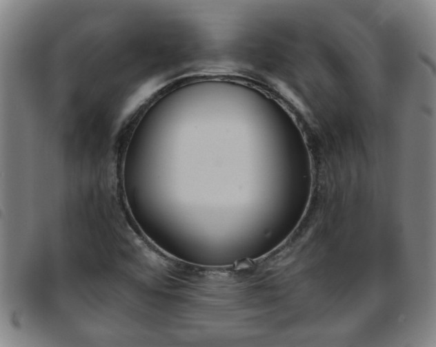 X0000097461456200803071620