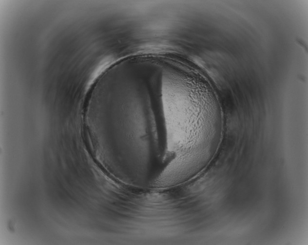 X0000097461459200803071620