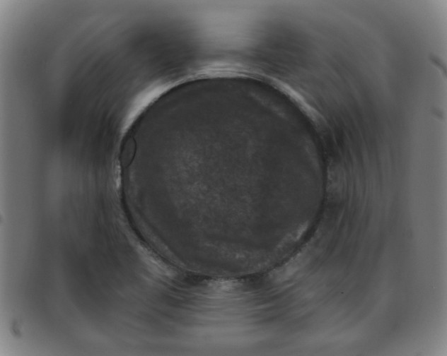 X0000097461461200803071620