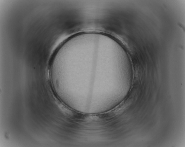 X0000097461462200803071620