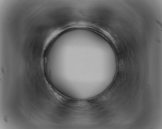 X0000097461464200803071620