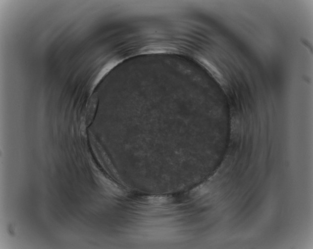 X0000097461465200803071620