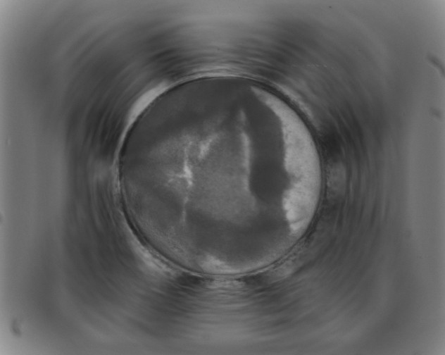 X0000097461466200803071620