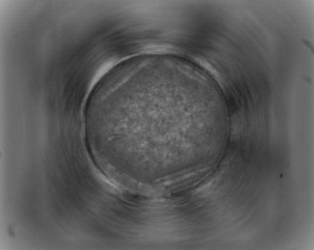 X0000097461467200803071620