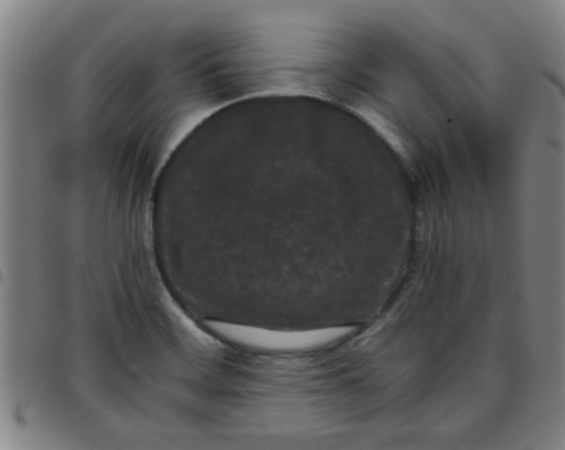 X0000097461468200803071620