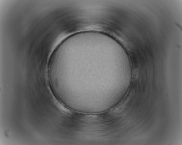 X0000097461470200803071620