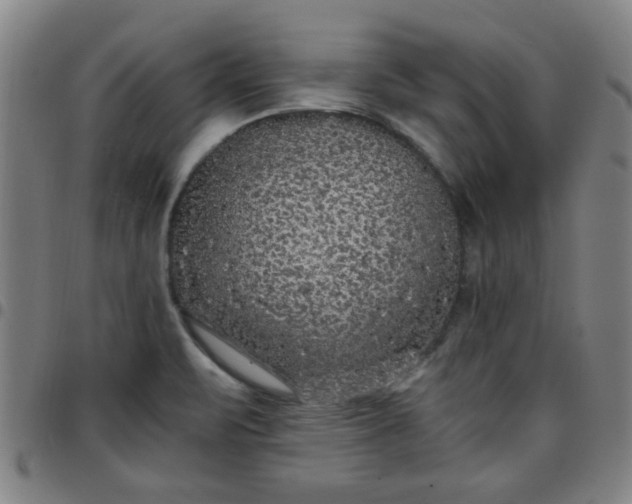 X0000097461471200803071620