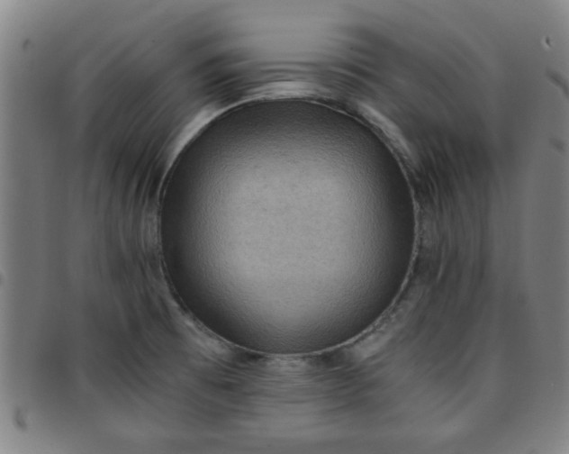 X0000097461473200803071620