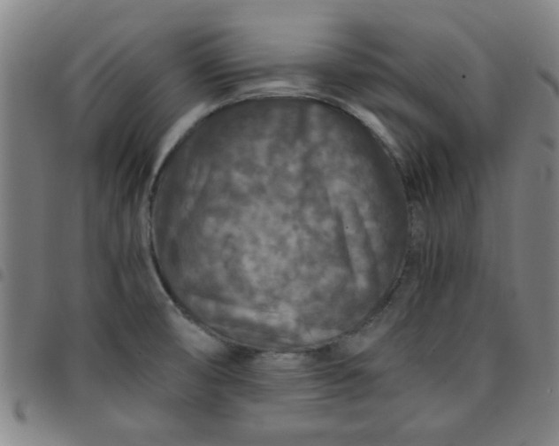 X0000097461474200803071620